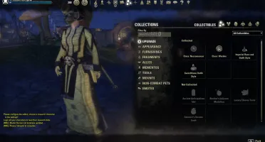 Conta the elder scrolls online - ESO