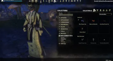 Conta the elder scrolls online - ESO