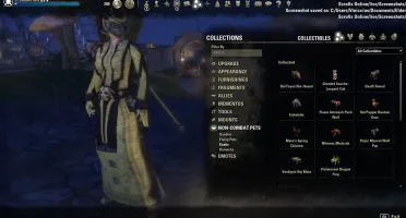 Conta the elder scrolls online - ESO
