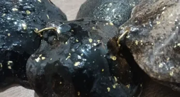 Pingente Artesanal de Jacarandá para Prosperidade