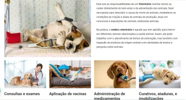 Template editável Pet Shop Institucional Wordpress