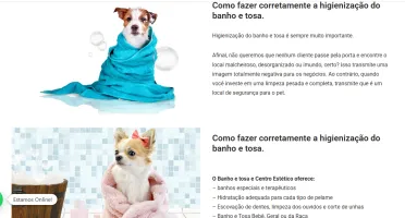 Template editável Pet Shop Institucional Wordpress
