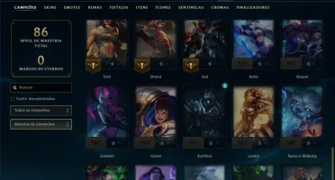 Prata 4 com 45 Champs e 4 Skins