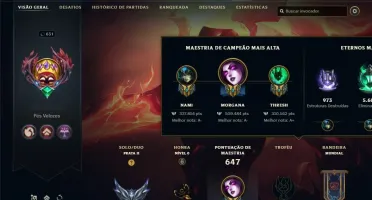 Conta LOL Main Supp Todos os Champs 209 Skins