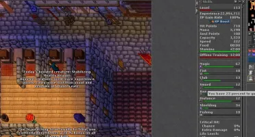 DRUID 154 EM JAVIBRA - 20% LOYALTY