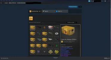 CSGO PRIME + outros jogos