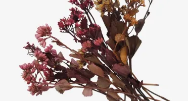 Flores secas - Chuvisco (10 unidades)