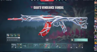 CONTA DE VALORANT