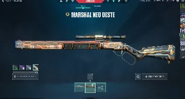 Conta de Valorant com 4.3K gastos, conta muito top