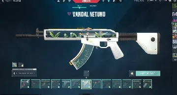 Conta de Valorant com 4.3K gastos, conta muito top