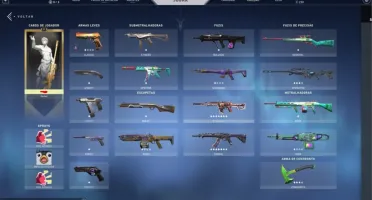 conta mestre com 283 skins + skins valorant