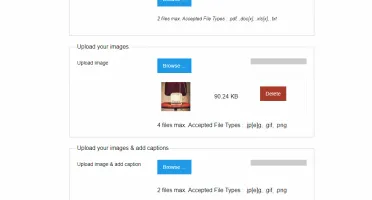 🚀 SaaS para Construtor de Formulários PHP com Drag & Drop!
