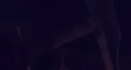 Megamu
