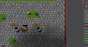 KNIGHT (88) / PALADIN (80) SERDEBRA NICE SKILLS