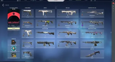 Conta Valorant Diamante com + de 700 reais gastos