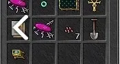 DRUID LV 520 + PALADIN LV 300 (NON-PVP)