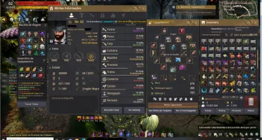 Conta Black Desert lvl 62 main ninja