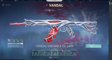 Conta valorant