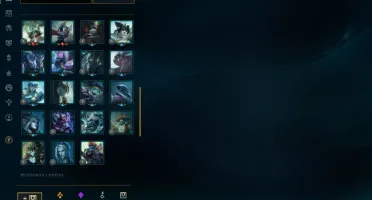 Conta D4(65%) 311 skins, All Champions