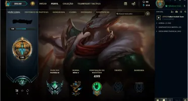 Conta Platina level 100. 407 skins !