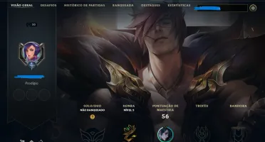 Conta lvl 30 upada a mão sem risco de ban