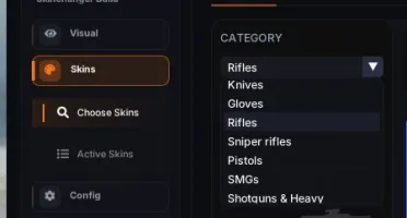 SkinChanger + ESP CS2 30Dias