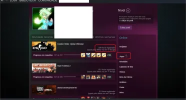 CONTA LVL 16 GC (QUASE 17), STEAM 500+ HORAS