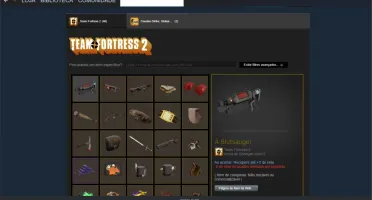 CONTA LVL 16 GC (QUASE 17), STEAM 500+ HORAS