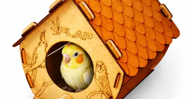 Casinha para Calopsita, Periquito e Agapornis - Flap Pet