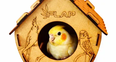 Casinha para Calopsita, Periquito e Agapornis - Flap Pet