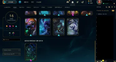 CONTA MAIN ZED
