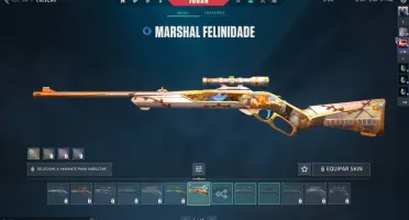 Conta valorant com muitas skins junto de uma conta do lol