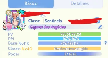 Ragnarok Origin Sentinela / Hunter Lvl 113/40 Prontera 5