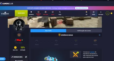 Conta Csgo Prime - Lvl 17 Gc- Sem Patente