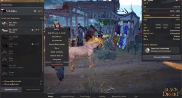 Sorceress 283/281/302 Level 62