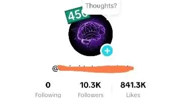 Conta TikTok Público Brasileiro 10K+