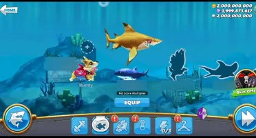 Contas Hungry Shark World (Full Acesso)