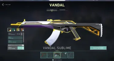 Conta Valorant Ouro 2 + SKins