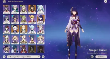 Raiden C1+Espinha Celestial+Kujou Sara c6+Chevreuse C6+75 RE