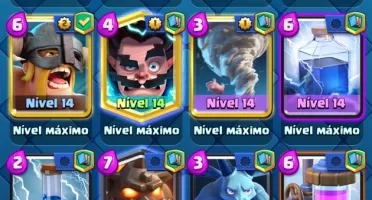 Conta nível 14 com campeões