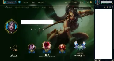 D5 129 Champions  60 Skins 101 Icones