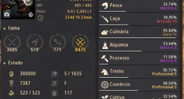 conta top de black desert