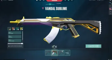 CONTA VALORANT DIMA1 - 2 FACAS, 2VANDAL ENTRE OUTRAS SKINS