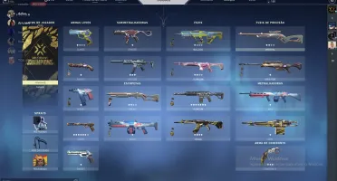 conta valorant skin champions e outras