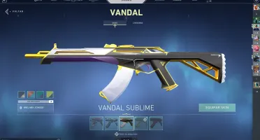 CONTA DE VALORANT COM MUITAS SKINS
