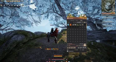 Conta Black Desert 715Gs T10 Pegasus NAO STEAM