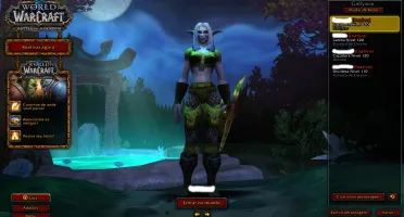 Vendo conta WOW BFA barato!!