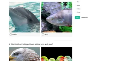 Varient - News & Magazine Source Script PHP