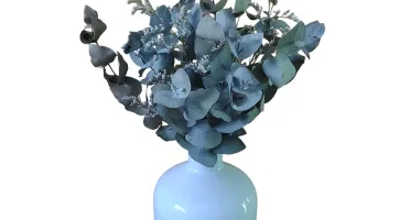 Buque Eucalipto com Limonium