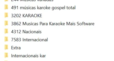 Karaokê PC Completo - Programa